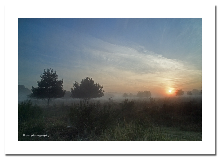 Sonnenaufgang in der Wahner Heide